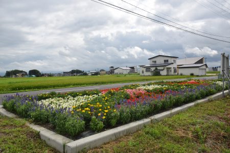 R6美土里の会・大袋(田舎館村)01