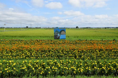 R6晴山資源保全隊(十和田市)01