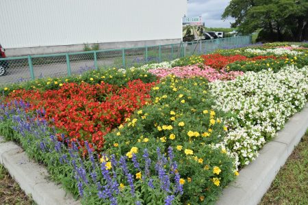 R6美土里の会・大袋(田舎館村)03