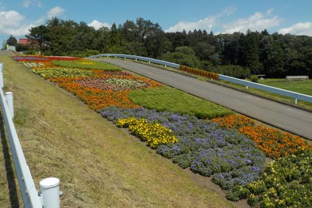 R6奥入瀬川沿岸地域保全広域協定(十和田市)02