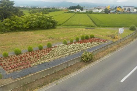 R6日沼地域共同活動組織(平川市)02