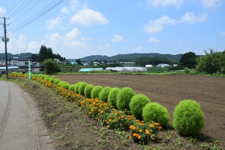 R6岩ノ沢地区環境を守る会(八戸市)01