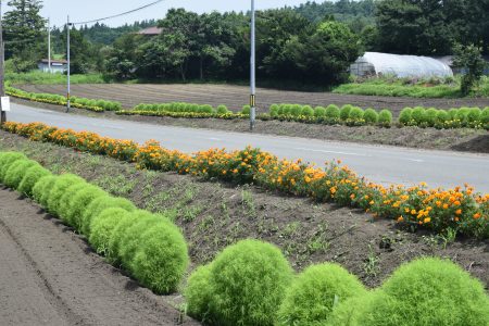 R6岩ノ沢地区環境を守る会(八戸市)04