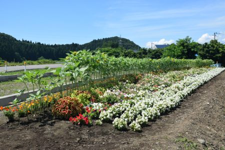 R6諏訪沢農地保全(青森市)01