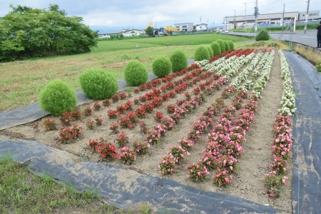 R6日沼地域共同活動組織(平川市)01