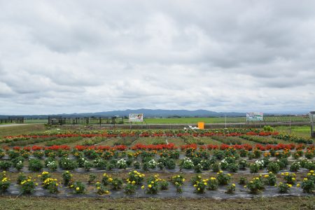 R6高瀬環境保全会(五所川原市)01