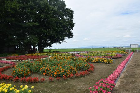 R6田川環境保全会(五所川原市)01